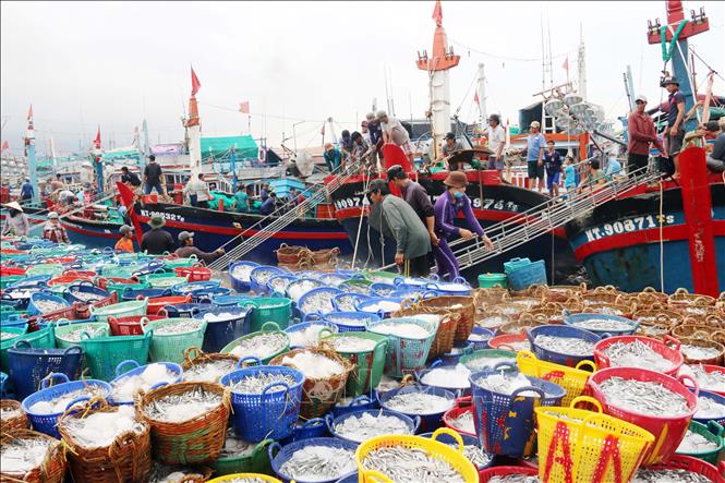 Sàn thương mại điện tử Tepbac eShop cung cấp các sản phẩm cho người nuôi thủy sản, bao gồm con giống, thuốc, thức ăn, vi sinh, máy móc, thiết bị nuôi trồng. (Nguồn ảnh: baotintuc.vn)